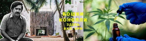 прущие крисы Горнозаводск