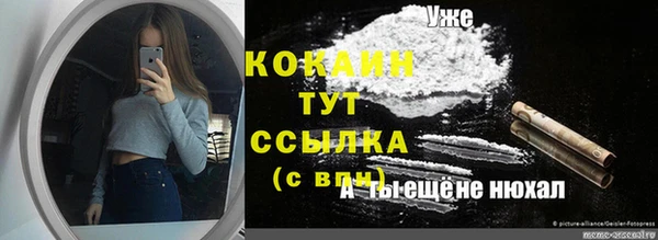 эйфоретик Горняк