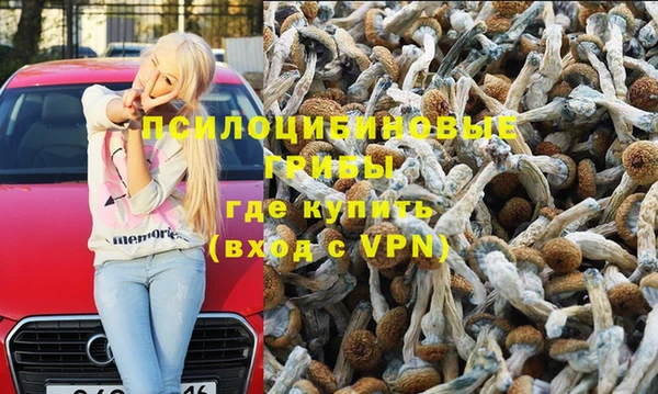 прущие крисы Горнозаводск