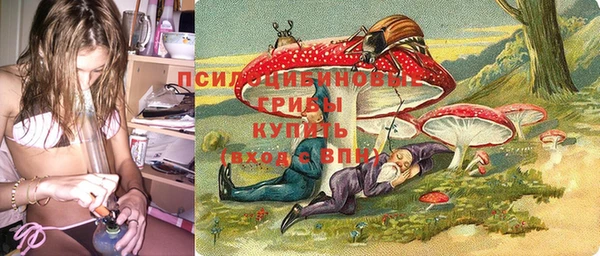 не бодяженный Горно-Алтайск