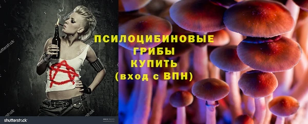 эйфоретик Горняк