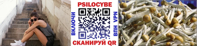 Купить  Почеп  Галлюциногенные грибы Magic Shrooms 